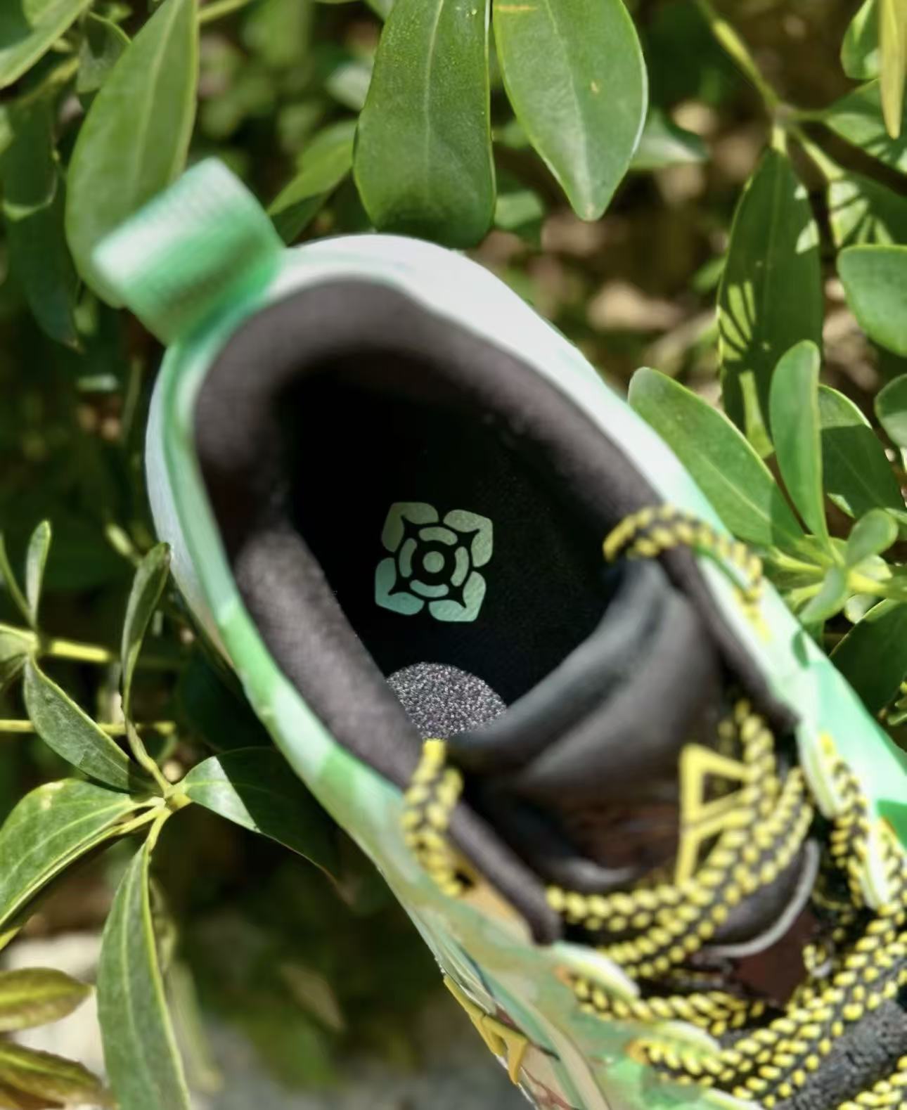 Rigorer AR2 “Monarch”