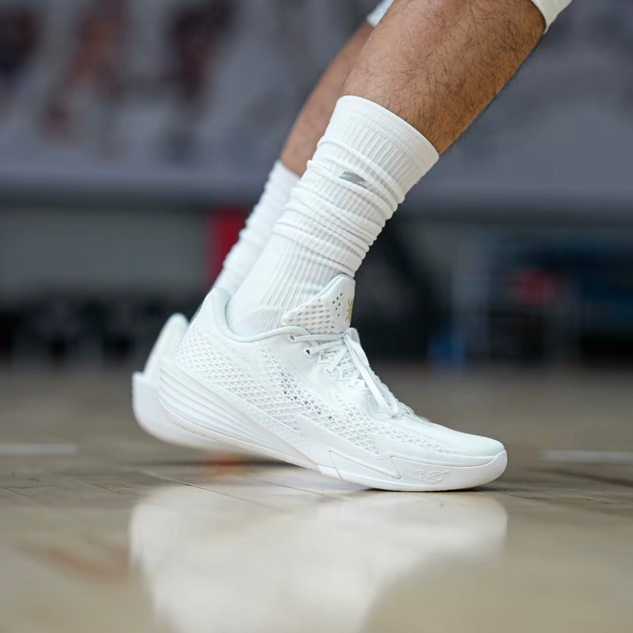 Wade Flash 2 白熱 着用 トリプルホワイト バッシュ コート
